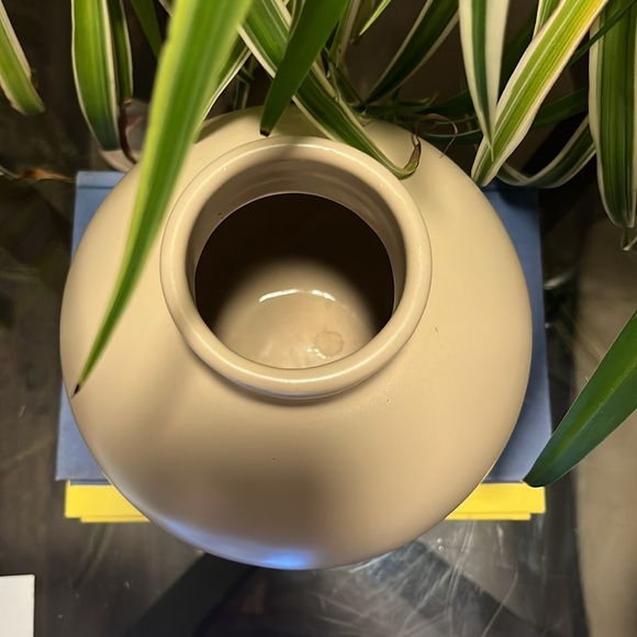 Haeger Pottery Vase 1993 Pottery Cream Organic Modern Retro Boho MCM Vintage - Picture 6 of 8